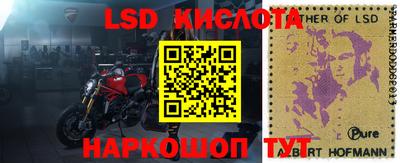 крисы Будённовск