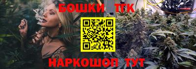 крисы Будённовск