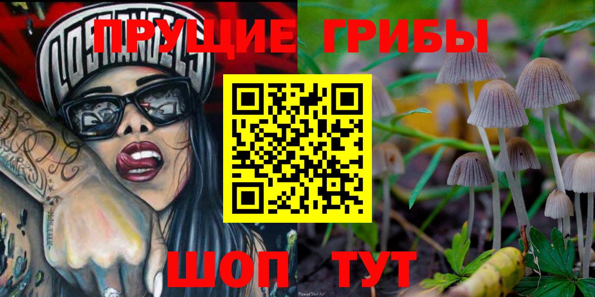Щёлково  Галлюциногенные грибы Psilocybe  Псилоцибиновые грибы MAGIC MUSHROOMS  Вход с VPN 
