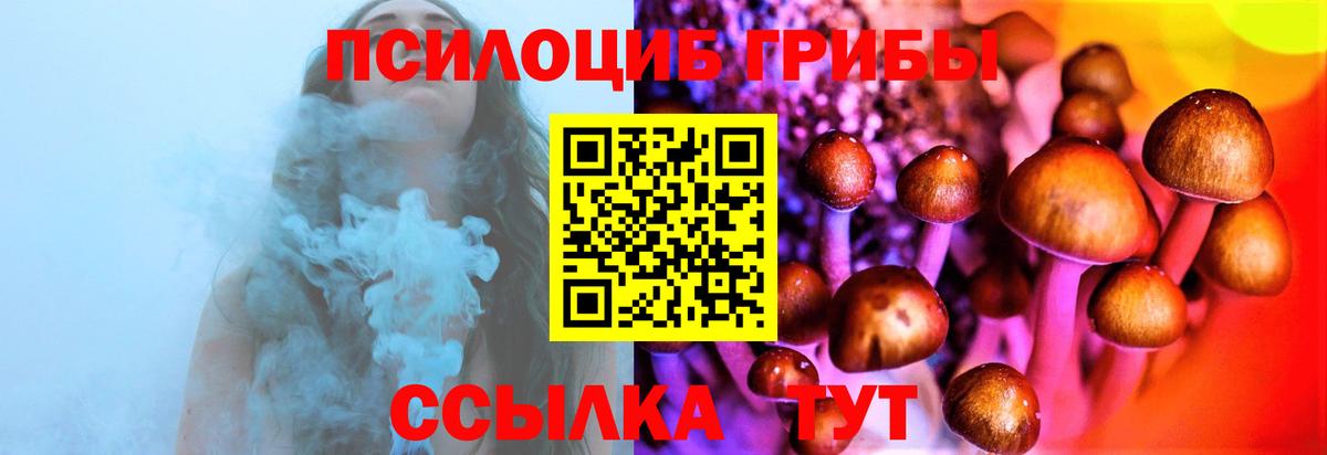 Галлюциногенные грибы Psilocybine cubensis Щёлково